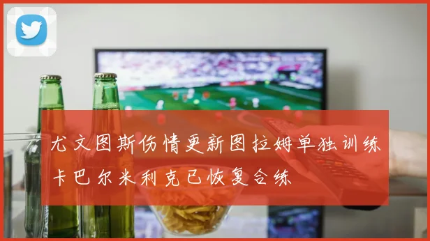 尤文图斯伤情更新图拉姆单独训练卡巴尔米利克已恢复合练